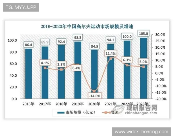广州羽毛球队技术分析与发展探讨聚焦羽毛球竞技新趋势